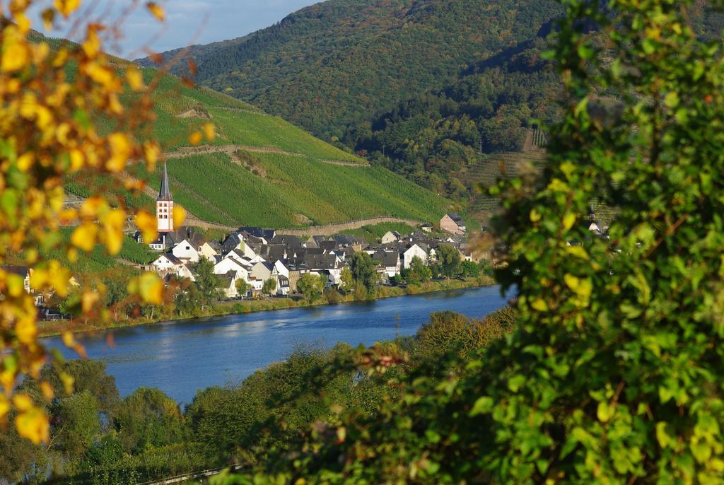 Ferienwohnung Tilli Zell an der Mosel Exteriör bild